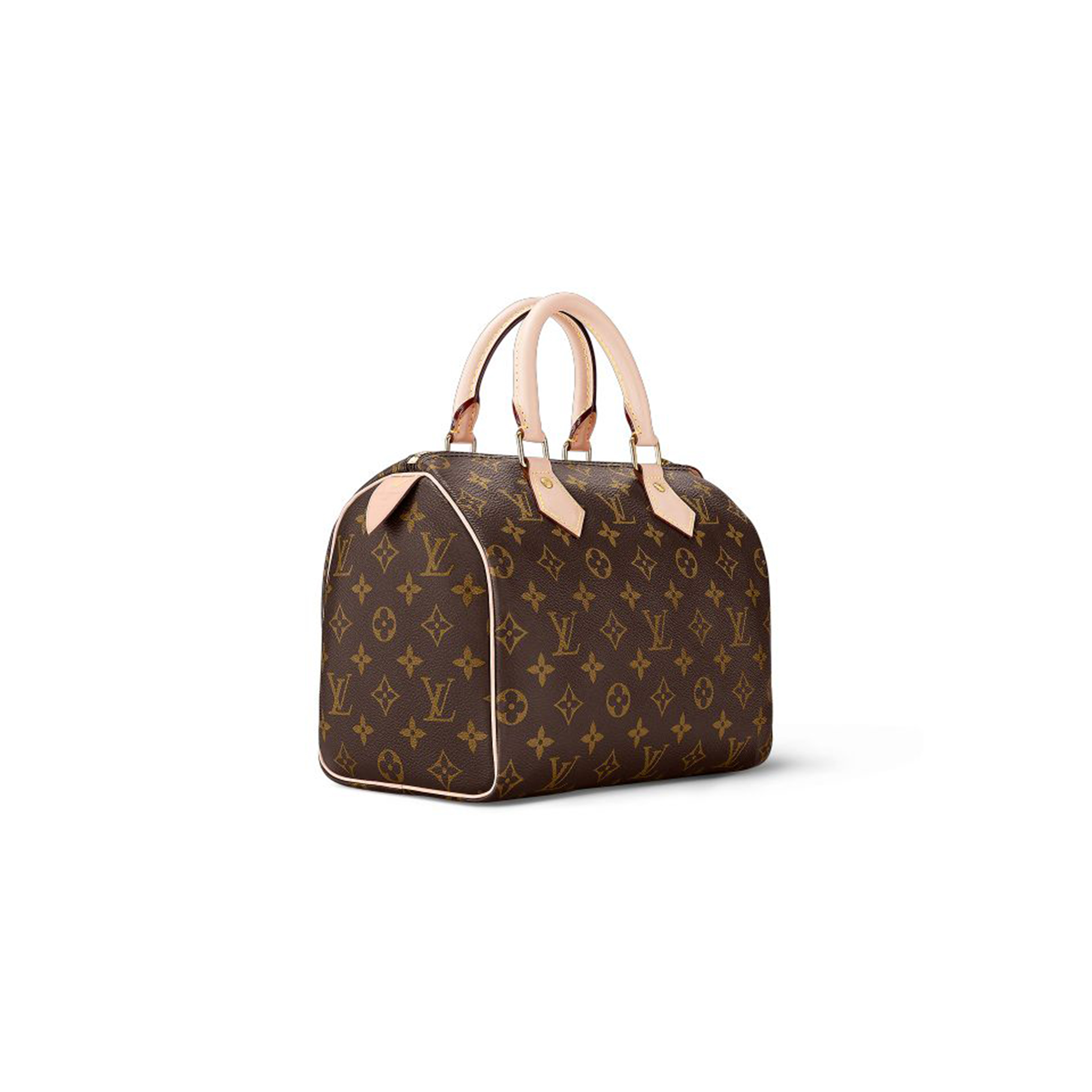 LOUIS VUITTON SPEEDY 25 M41109 (25*19*15cm)