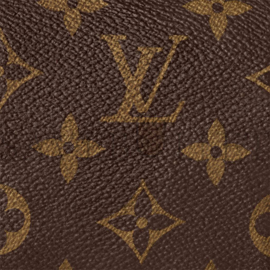 LOUIS VUITTON NANO SPEEDY M61252 (16*11*9cm)